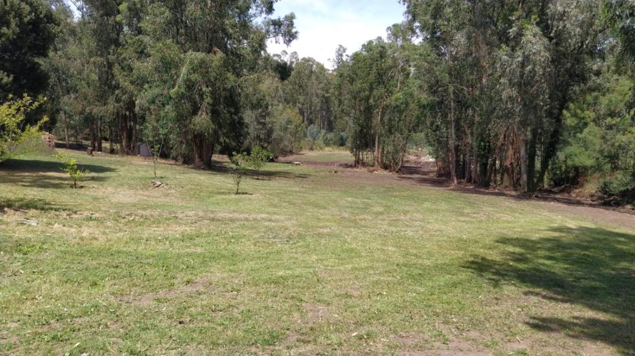 El Bosque De Las Animas Villa Tandil Esterno foto